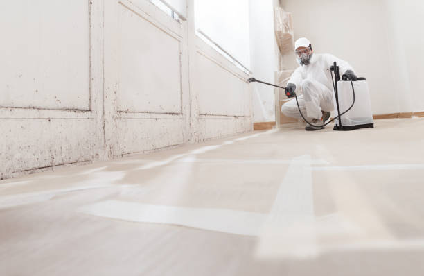 24/7 Emergency Basement Mold Remediation experts in Southborough, MA
